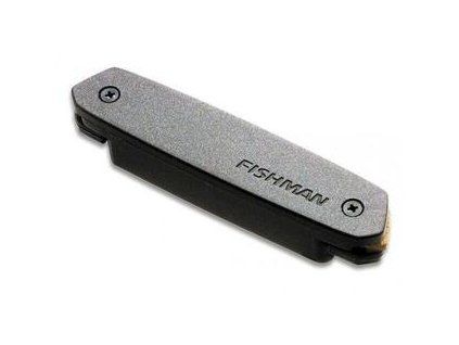 Fishman Neo-D Magnetic Soundhole Humbucker