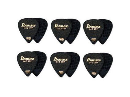 Ibanez PPA14MSG-BK