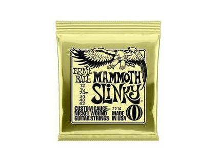 Ernie Ball Slinky