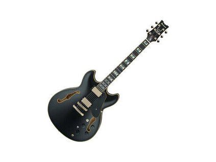Ibanez JSM20-BKL Black Low Gloss