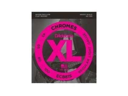 D'Addario ECB81S