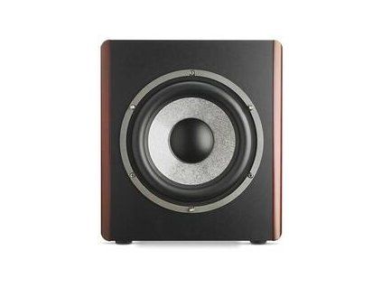 Focal Red Burr Ash