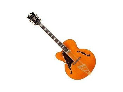 D'Angelico  (B-Stock) #934421