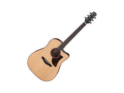 Ibanez AAD300CE-LGS