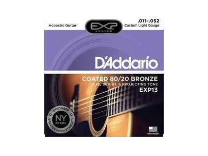 D'Addario EXP13