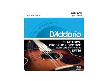 D'Addario EFT16