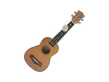 Aiersi SU021T Soprano