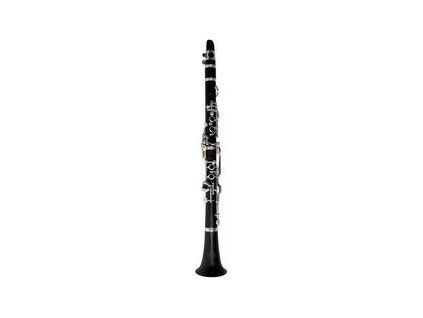 Roy Benson CG-200C Professional clarinet