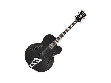 D'Angelico Premier