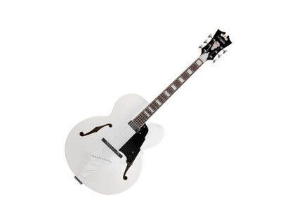 D'Angelico Premier