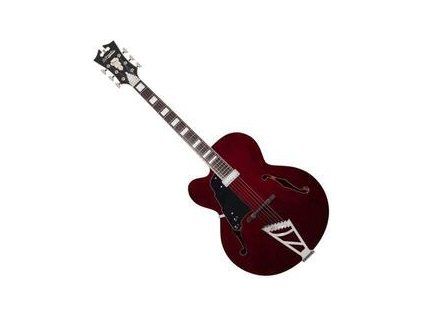 D'Angelico Premier