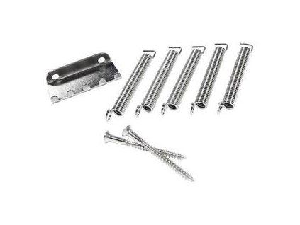 Fender Pure Vintage Stratocaster Tremolo Spring/Claw Kit Nickel