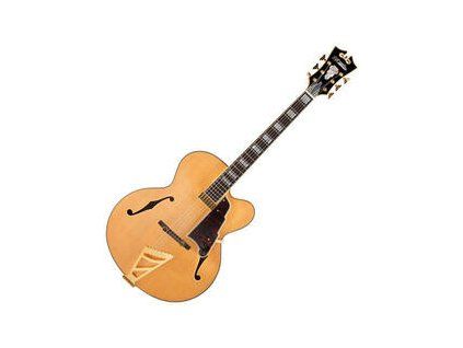 D'Angelico Excel EXL-1