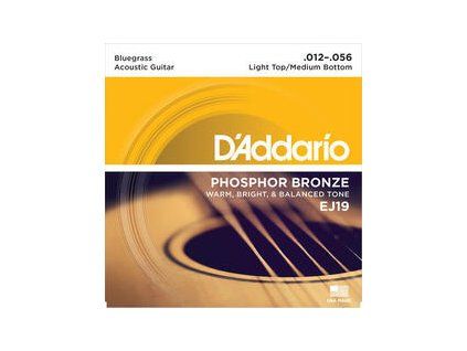 D'Addario EJ19