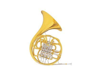 C.G. Conn 6D Artist French Horn