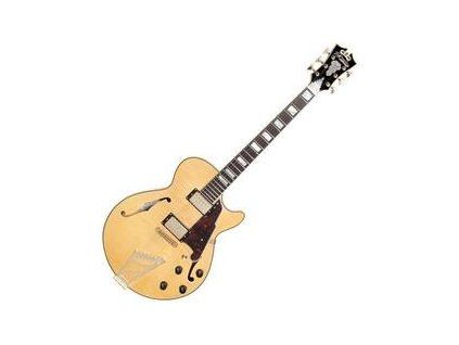 D'Angelico Excel SS Stairstep