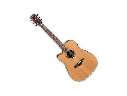Ibanez AW65LECE-LG Natural