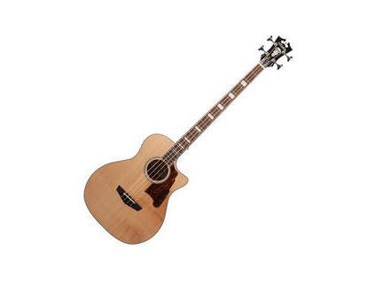 D'Angelico Premier