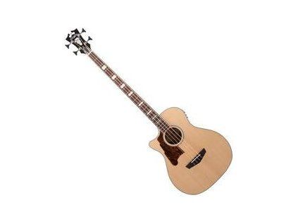 D'Angelico Premier