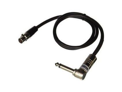 Shure WA304