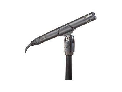 Audio-Technica AT2031 Cardioid Condenser Microphone