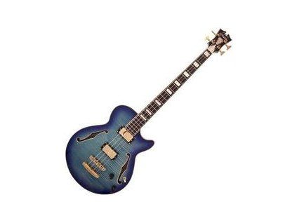 D'Angelico Excel