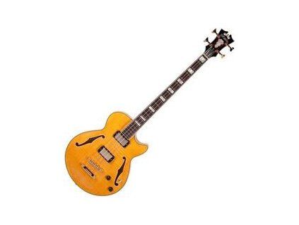 D'Angelico Excel