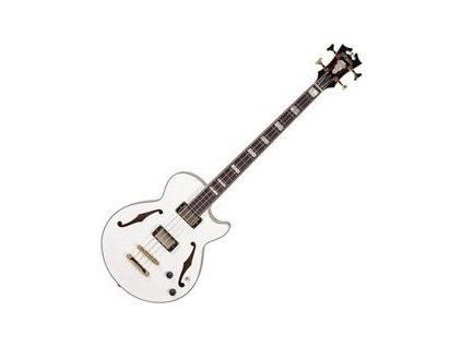 D'Angelico Excel