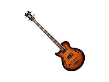 D'Angelico Excel