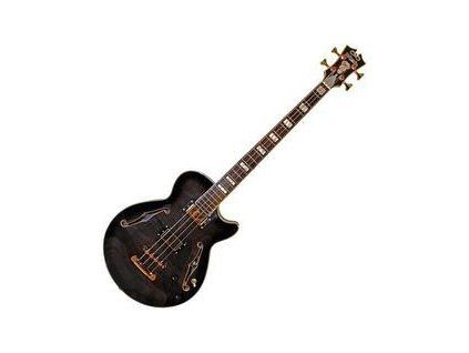 D'Angelico Excel