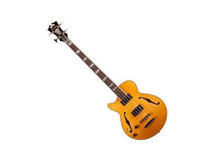 D'Angelico Excel