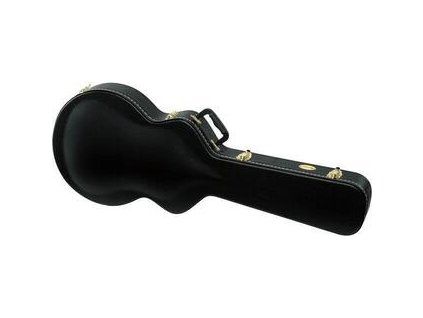 Ibanez AGS-C Case for Acoustic Guitar