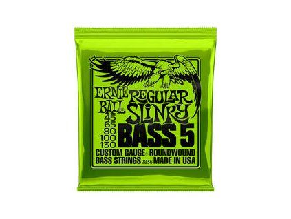 Ernie Ball Slinky