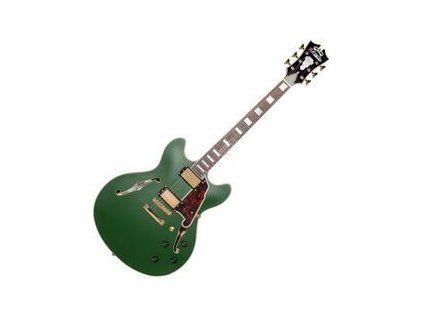 D'Angelico Deluxe DC Matte