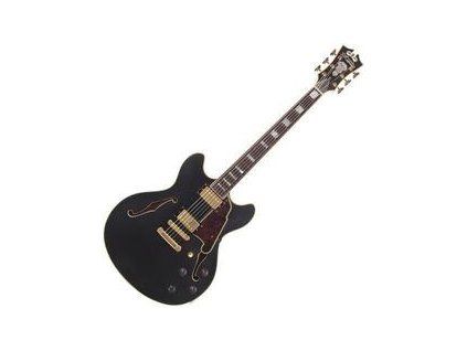 D'Angelico Deluxe DC Matte