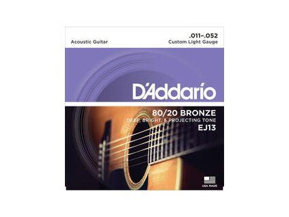D'Addario EJ13