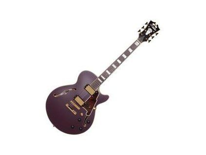 D'Angelico Deluxe SS Stop-bar Matte