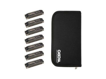 Cascha HH 2248 Master Edition Blues Set Diatonic harmonica