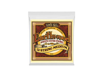 Ernie Ball Earthwood 12