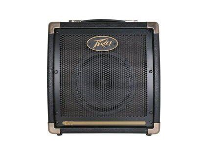 Peavey Ecoustic E20