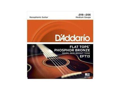 D'Addario EFT13