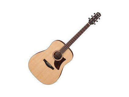 Ibanez AAD100-OPN