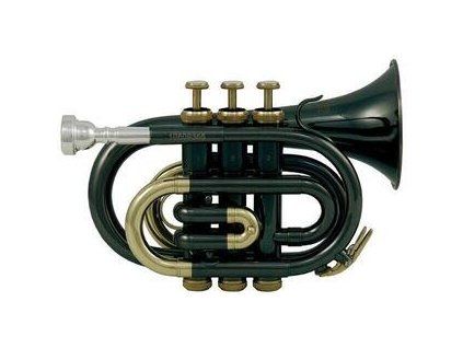 Roy Benson Bb Trumpet