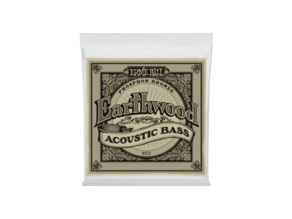 Ernie Ball