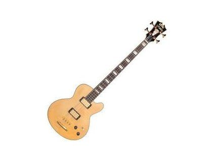D'Angelico Excel SD