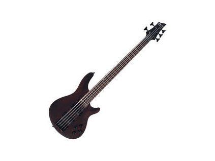 Schecter Omen-5