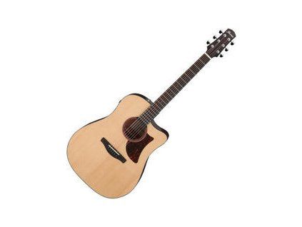 Ibanez AAD170CE-LGS