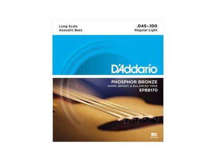 D'Addario EPBB 170