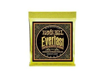 Ernie Ball Everlast
