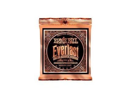 Ernie Ball Everlast